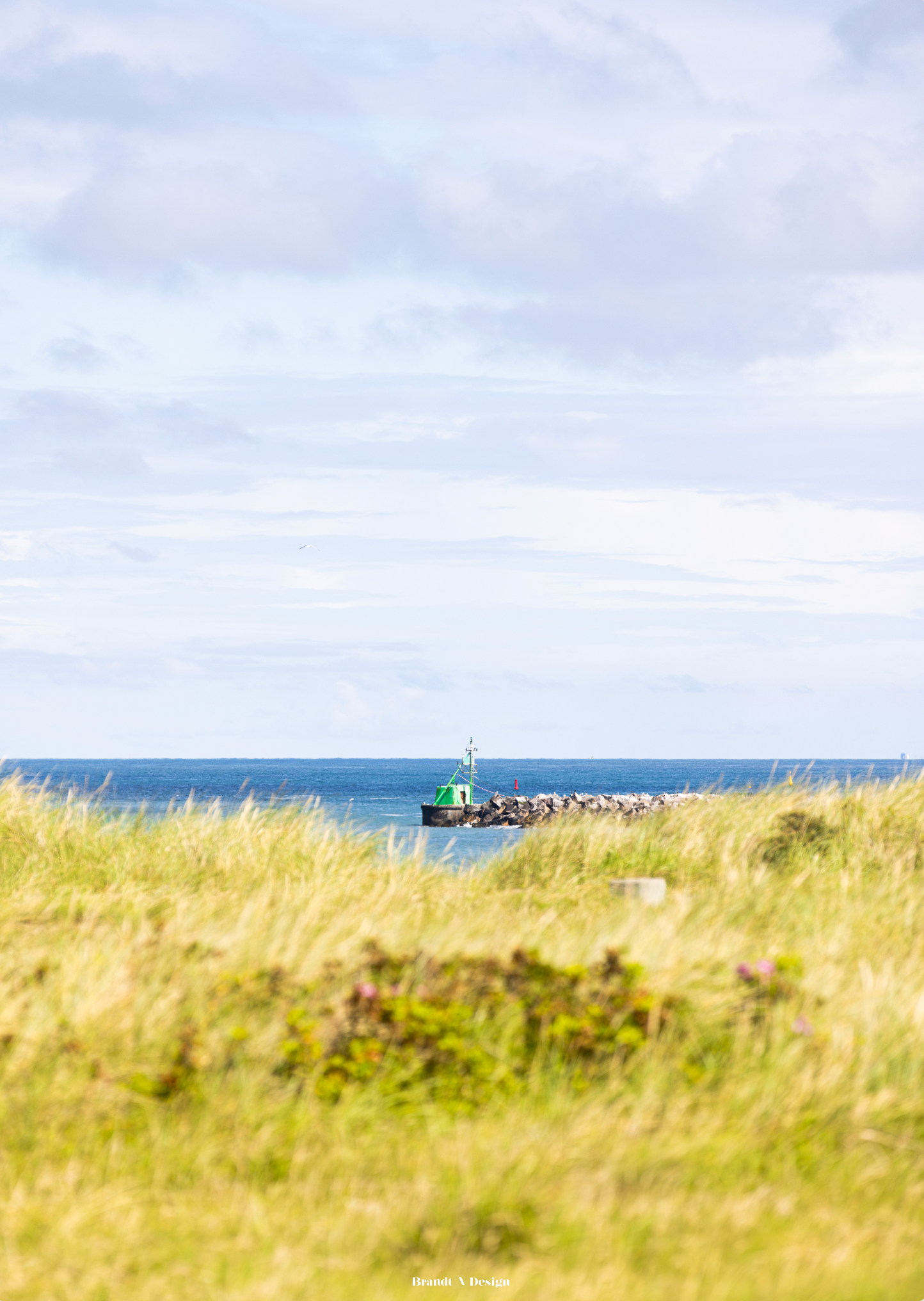 Den Grønne Mole
