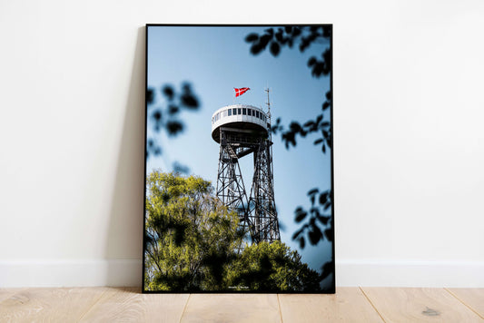 Aalborg Tårnet i skoven