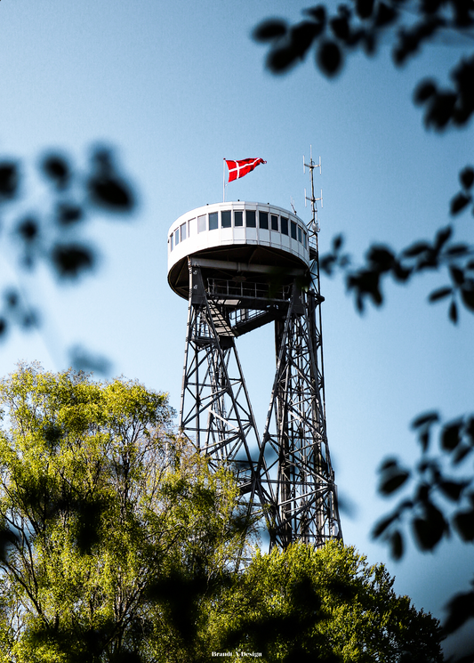 Aalborg Tårnet i skoven