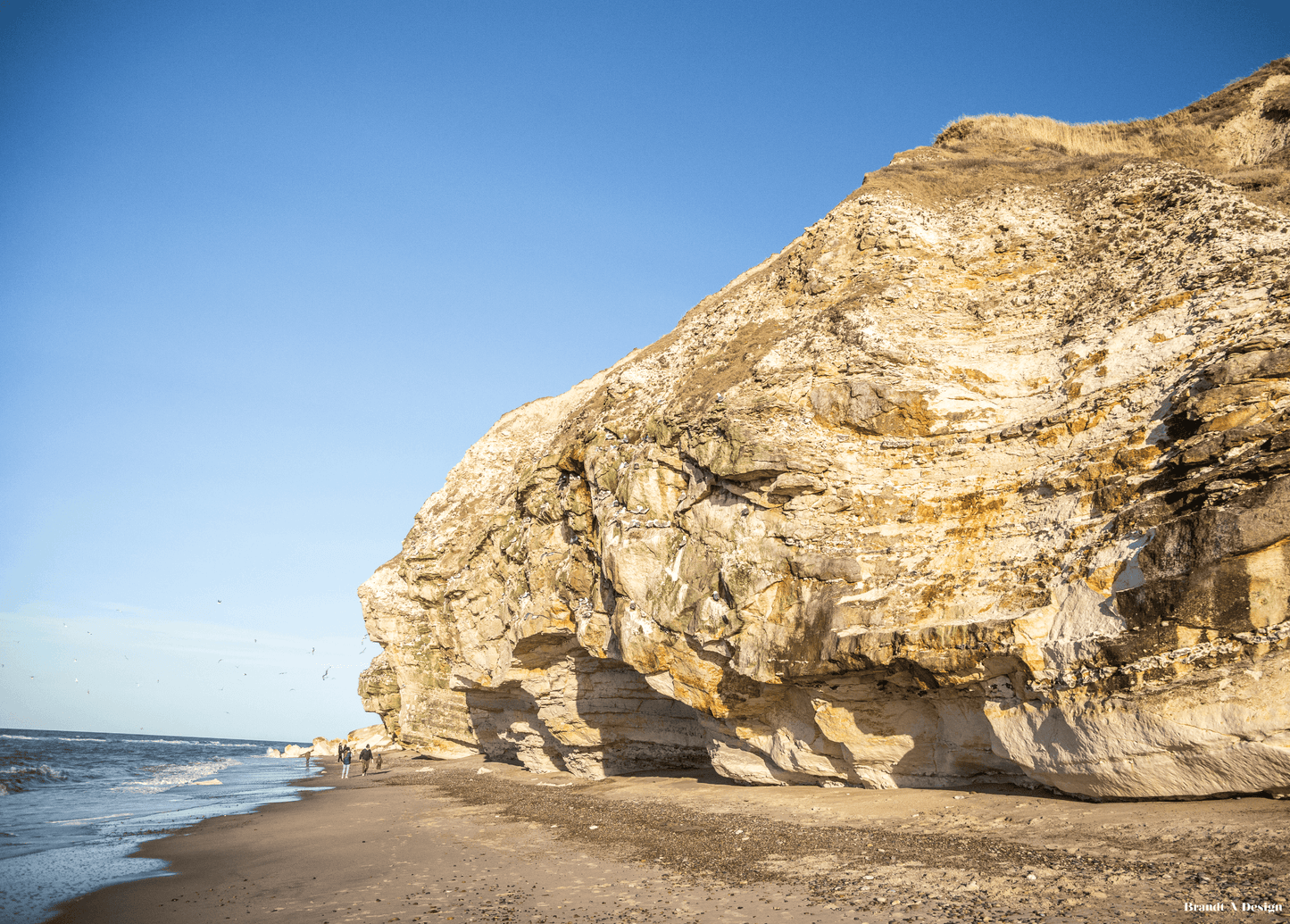 Bulbjerg By The Sea