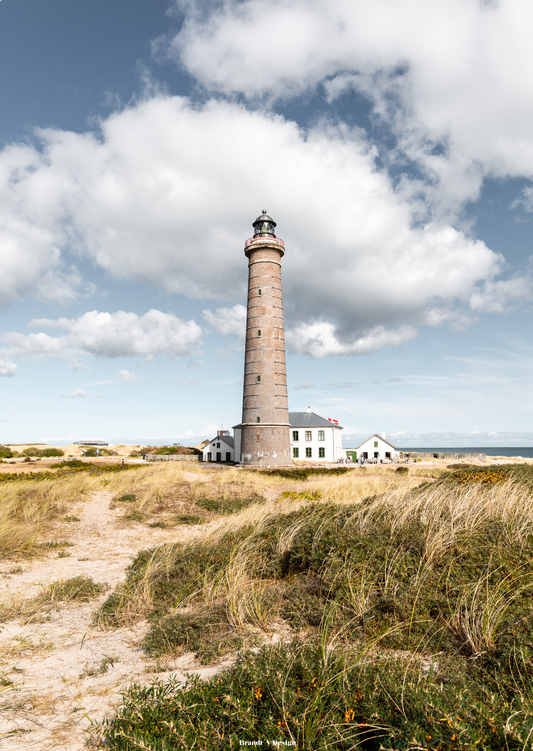 Det Grå Fyr på toppen