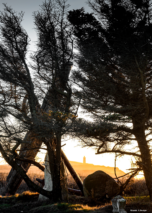 Mårup Kirke & Rubjerg