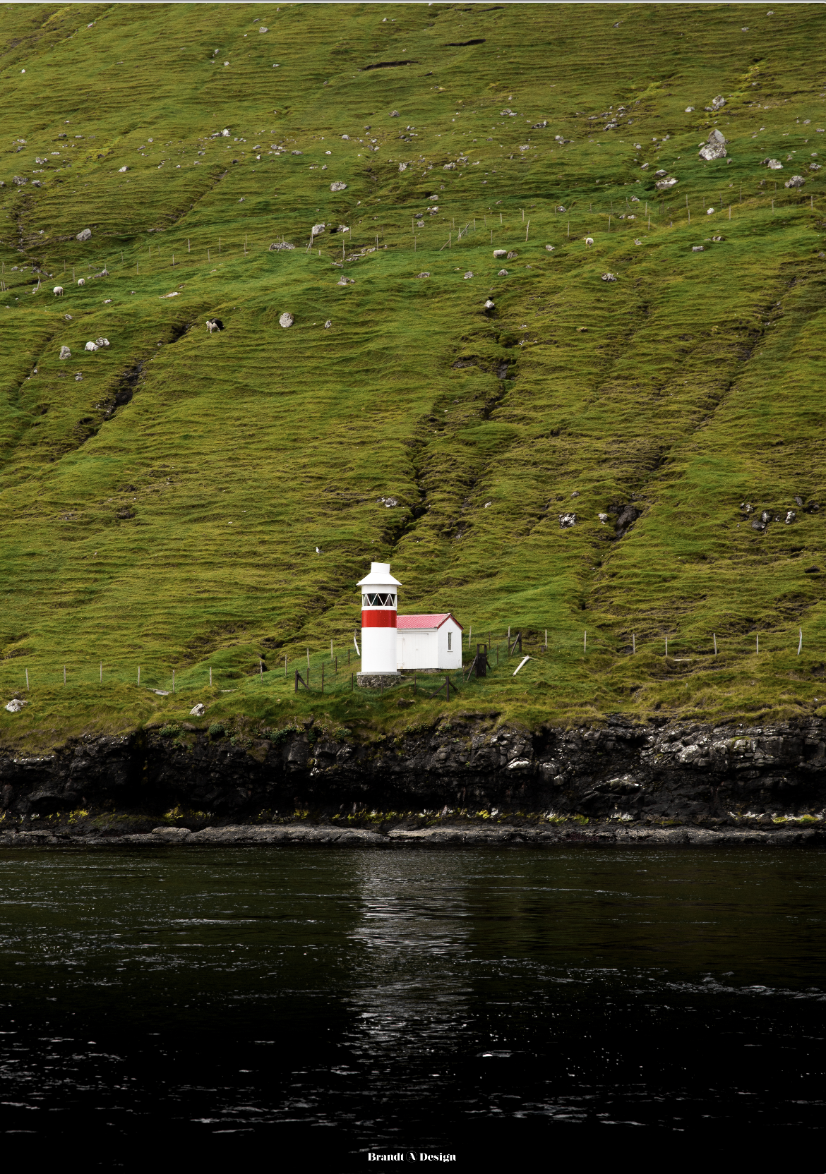 The Lighthouse
