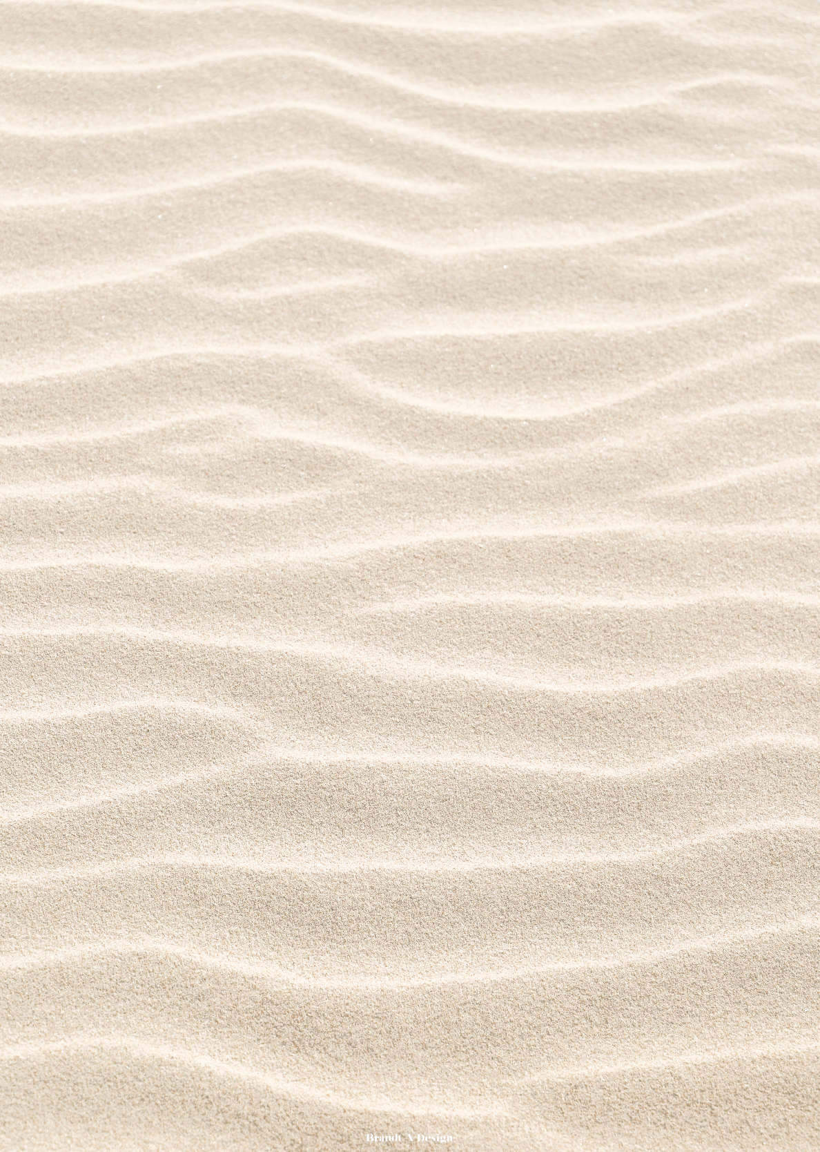 Linjer i sandet